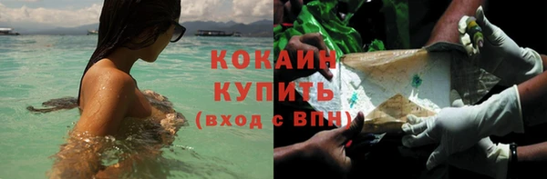 кокс Алзамай
