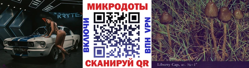 Псилоцибиновые грибы GOLDEN TEACHER  Краснознаменск 