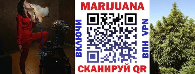 закладка  Краснознаменск  Каннабис AK-47 